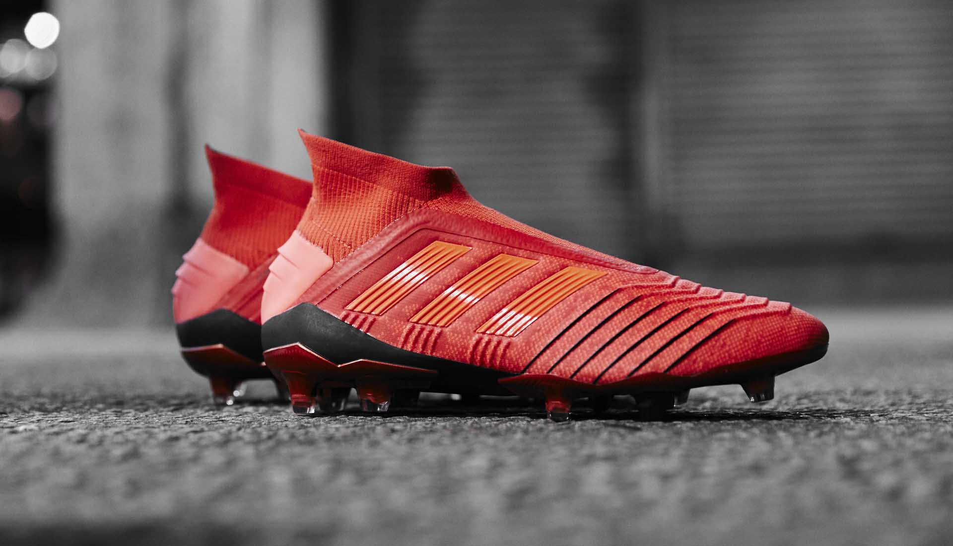 predator adidas 19