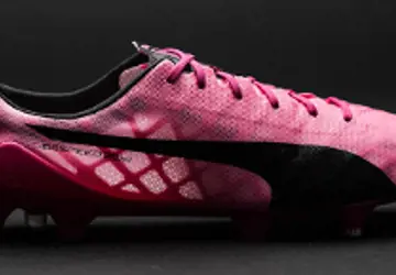 roze-puma-evospeed-sl-project-voetbalschoenen-4.jpg