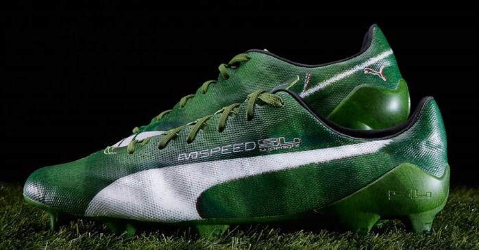 Puma -evo SPEED-SL-Grass Voetbalschoenen 3