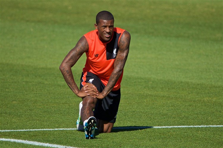 Wijnaldum X 15