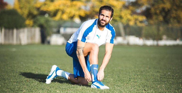 Puma -fabregas -voetbalschoenen