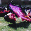 puma-ultra-voetbalschoenen-flare-pack-b.jpg